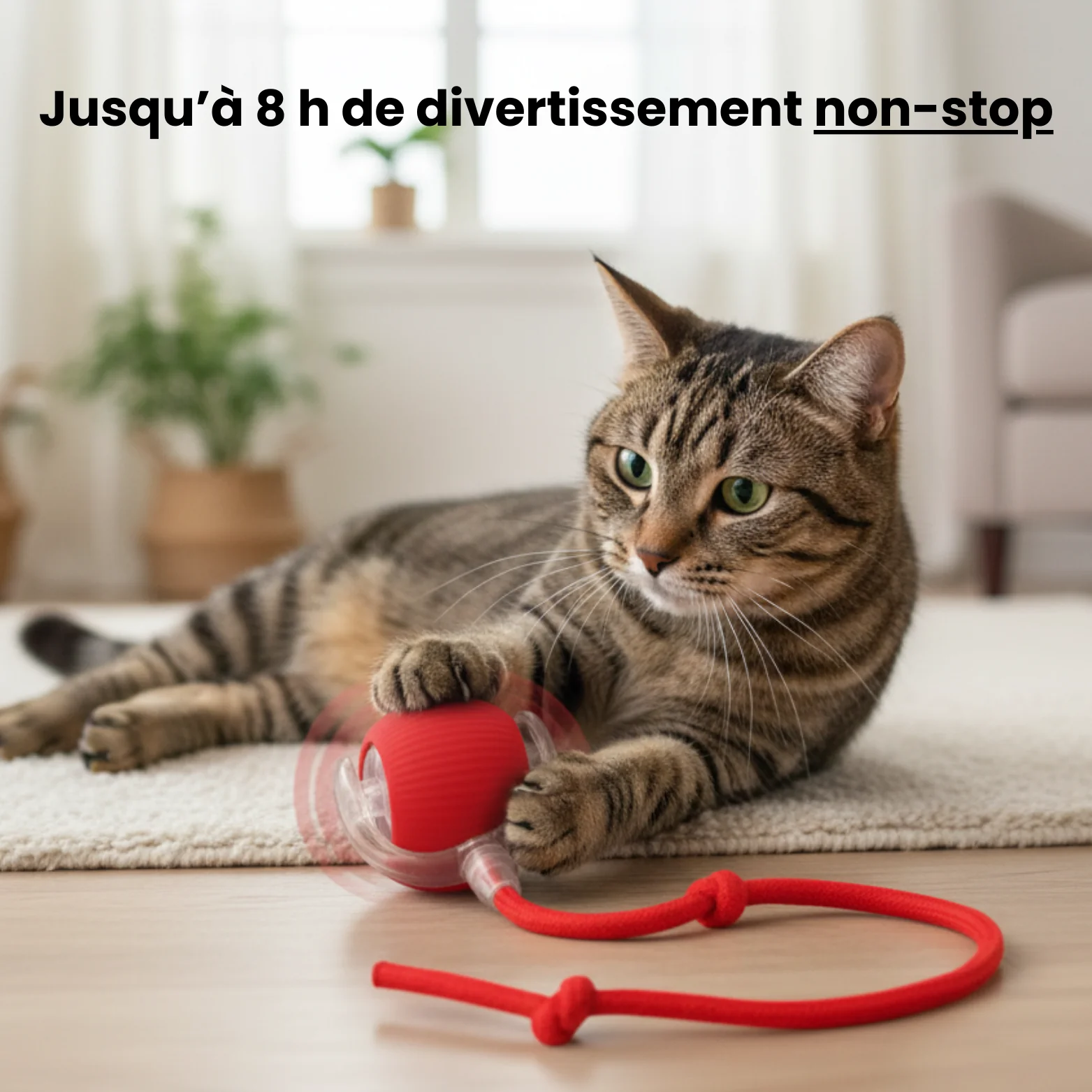 Image du produit 6